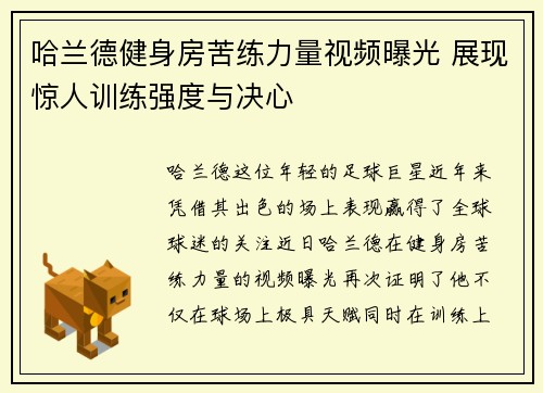 哈兰德健身房苦练力量视频曝光 展现惊人训练强度与决心